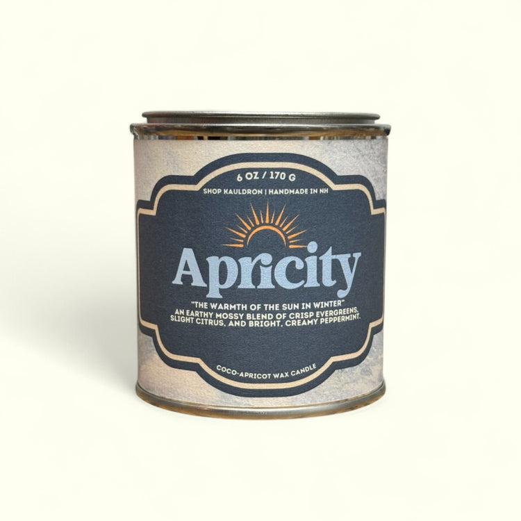 Apricity Paint Tin Candle