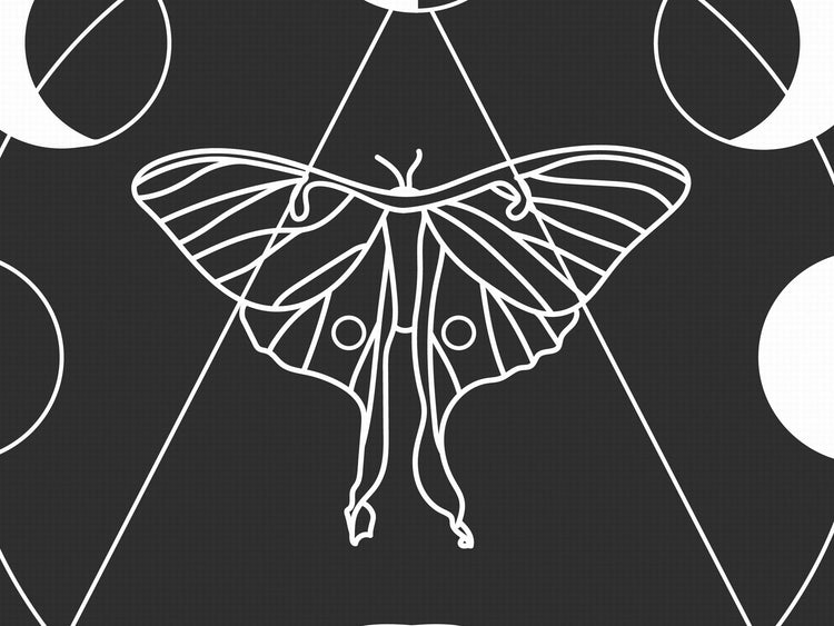 Luna Moth T-Shirt