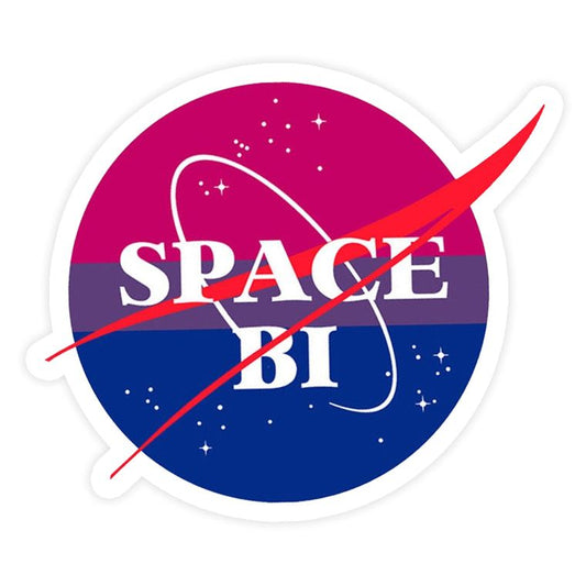 Space Bi NASA Logo Vinyl Sticker